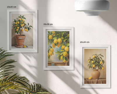 Composizione di 3 quadri Alberi di limoni in vaso e fioriere