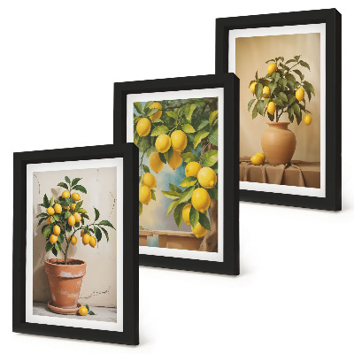 Composizione di 3 quadri Alberi di limoni in vaso e fioriere