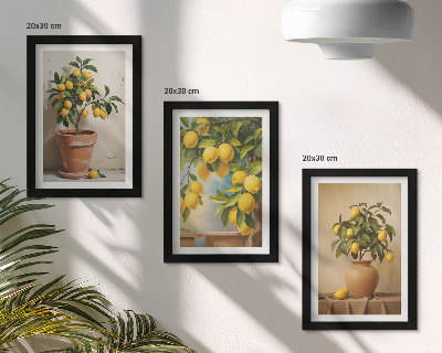 Composizione di 3 quadri Alberi di limoni in vaso e fioriere