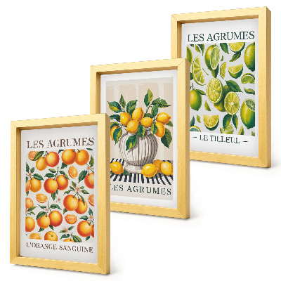 Trittico incorniciato Agrumi in varie versioni colorate e fresche