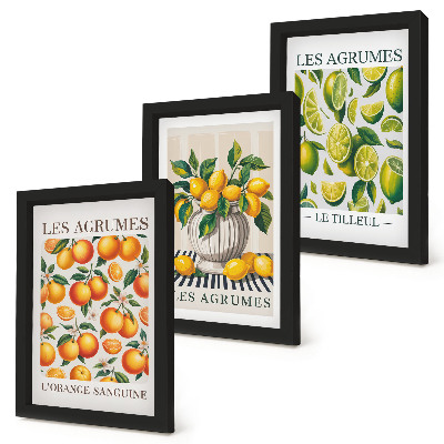 Trittico incorniciato Agrumi in varie versioni colorate e fresche