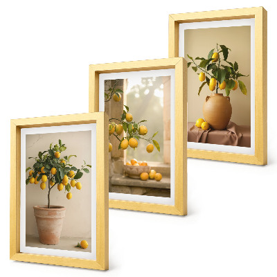 Composizione di 3 quadri Alberi di limoni in vaso e sul davanzale