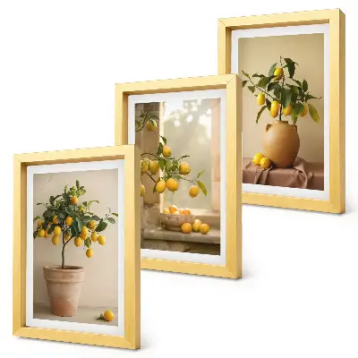 Composizione di 3 quadri con alberi di limoni in vaso sul davanzale