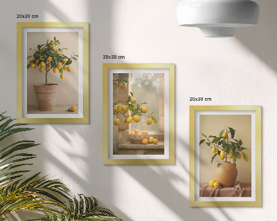 Composizione di 3 quadri Alberi di limoni in vaso e sul davanzale