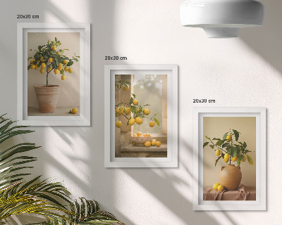 Composizione di 3 quadri Alberi di limoni in vaso e sul davanzale
