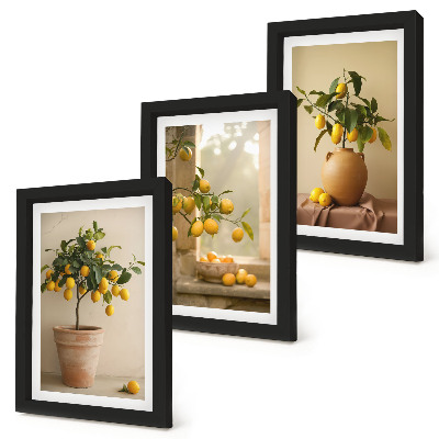 Composizione di 3 quadri Alberi di limoni in vaso e sul davanzale