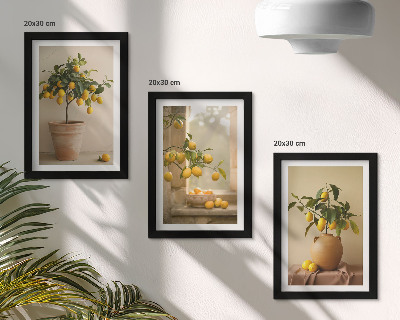 Composizione di 3 quadri Alberi di limoni in vaso e sul davanzale