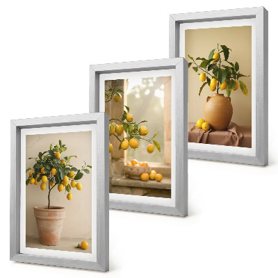 Composizione di 3 quadri Alberi di limoni in vaso e sul davanzale