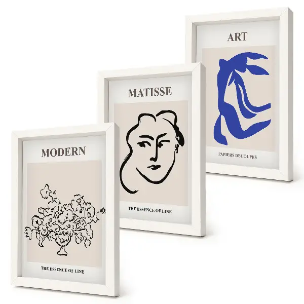 Set di 3 quadri composizione di manifesti astratti in stile minimalista di Henri Matisse