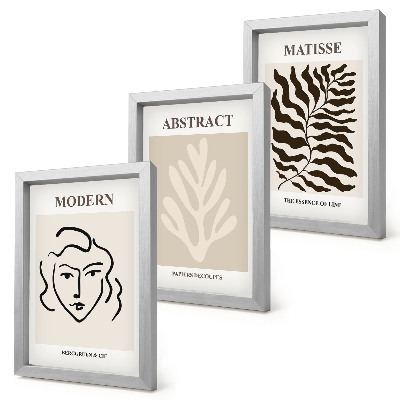 Composizione di 3 quadri Illustrazioni di volti e foglie tratte dalle opere grafiche di Henri Matisse.