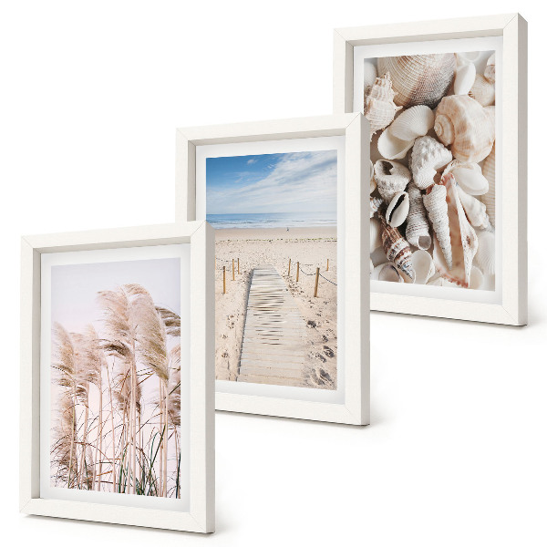 Composizione di 3 quadri Spiaggia sabbiosa con conchiglie ed alghe marine.