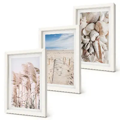 Composizione di 3 quadri raffigurante spiaggia sabbiosa con conchiglie ed alghe marine