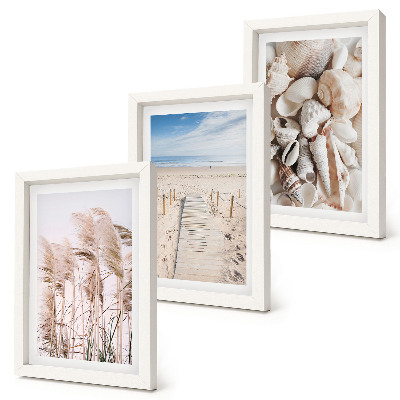 Composizione di 3 quadri Spiaggia sabbiosa con conchiglie ed alghe marine.