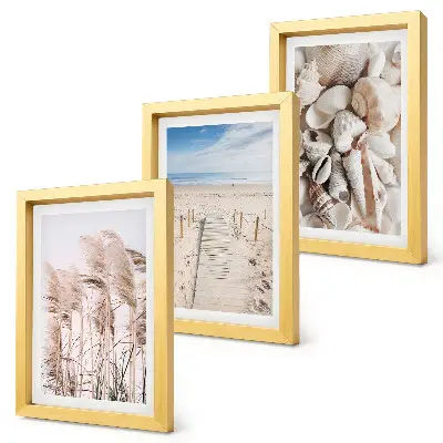 Composizione di 3 quadri raffigurante spiaggia sabbiosa con conchiglie ed alghe marine