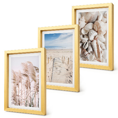 Composizione di 3 quadri Spiaggia sabbiosa con conchiglie ed alghe marine.