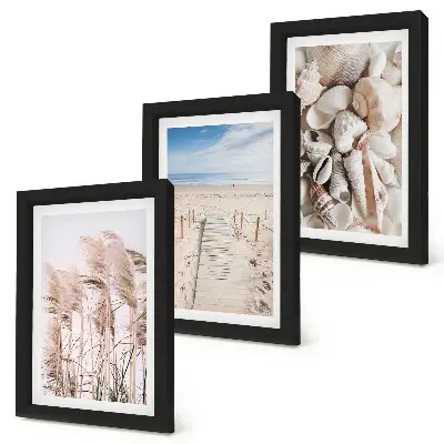 Composizione di 3 quadri raffigurante spiaggia sabbiosa con conchiglie ed alghe marine