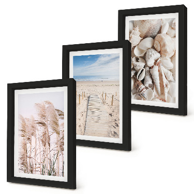 Composizione di 3 quadri Spiaggia sabbiosa con conchiglie ed alghe marine.