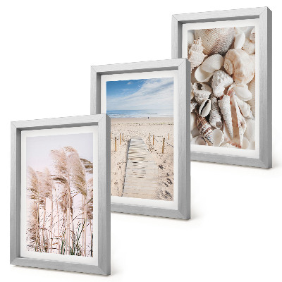Composizione di 3 quadri Spiaggia sabbiosa con conchiglie ed alghe marine.
