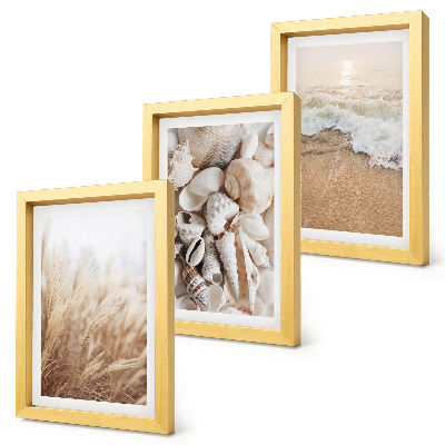 Composizione di 3 quadri Motivi da spiaggia con conchiglie e onde del mare.