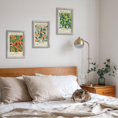 Composizione di 3 quadri Poster vintage con motivi di frutta