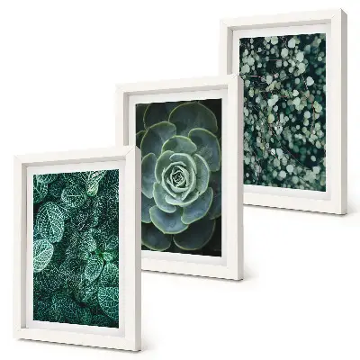 Trittico incorniciato con foglie verdi di piante succulente e rametti delicati