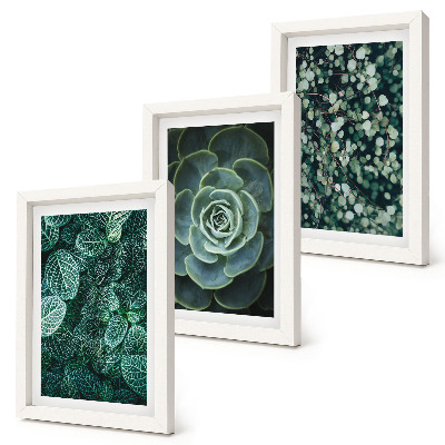 Trittico incorniciato Foglie verdi di piante succulente e rametti delicati