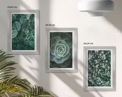 Trittico incorniciato con foglie verdi di piante succulente e rametti delicati