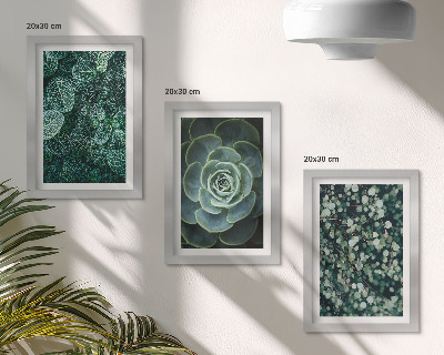 Trittico incorniciato Foglie verdi di piante succulente e rametti delicati