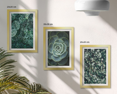 Trittico incorniciato Foglie verdi di piante succulente e rametti delicati