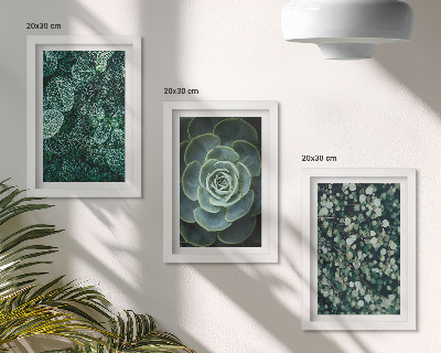 Trittico incorniciato Foglie verdi di piante succulente e rametti delicati