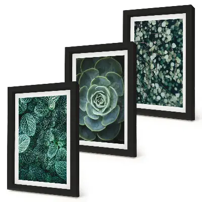 Trittico incorniciato con foglie verdi di piante succulente e rametti delicati