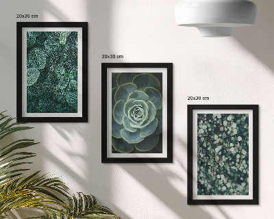 Trittico incorniciato Foglie verdi di piante succulente e rametti delicati