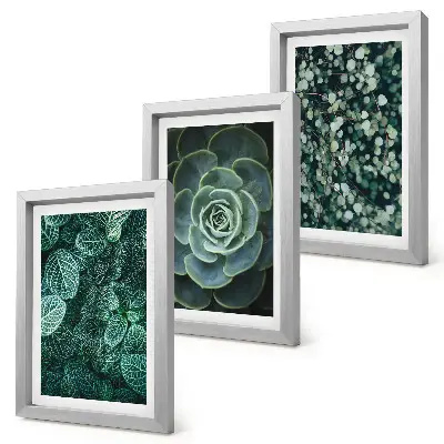 Trittico incorniciato con foglie verdi di piante succulente e rametti delicati