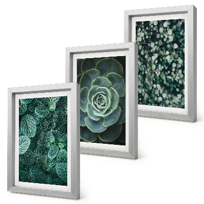Trittico incorniciato Foglie verdi di piante succulente e rametti delicati