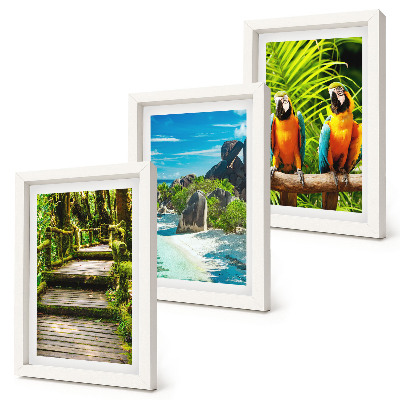 Trittico incorniciato Foresta tropicale con cascata e pappagalli colorati