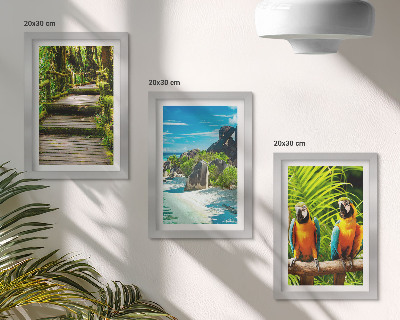 Trittico incorniciato Foresta tropicale con cascata e pappagalli colorati