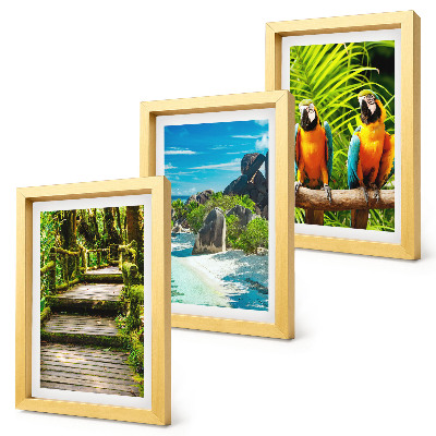 Trittico incorniciato Foresta tropicale con cascata e pappagalli colorati