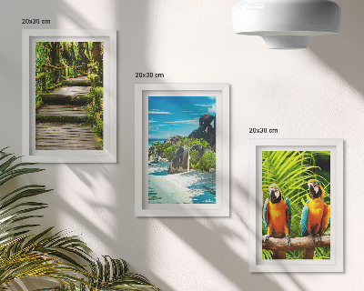 Trittico incorniciato Foresta tropicale con cascata e pappagalli colorati
