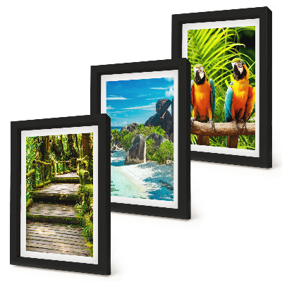 Trittico incorniciato Foresta tropicale con cascata e pappagalli colorati