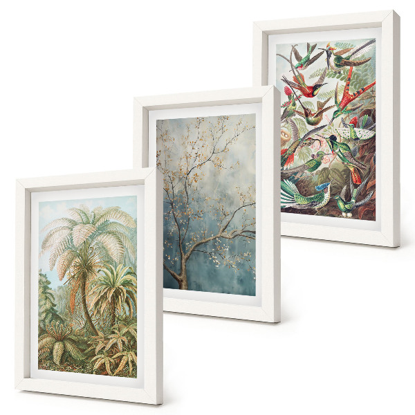 Composizione di 3 quadri Piante tropicali e uccelli colorati in natura