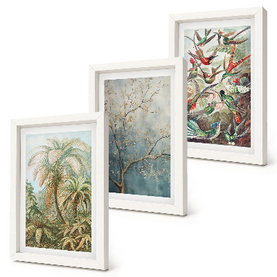 Composizione di 3 quadri Piante tropicali e uccelli colorati in natura