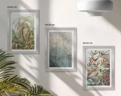 Composizione di 3 quadri con piante tropicali e uccelli colorati in natura