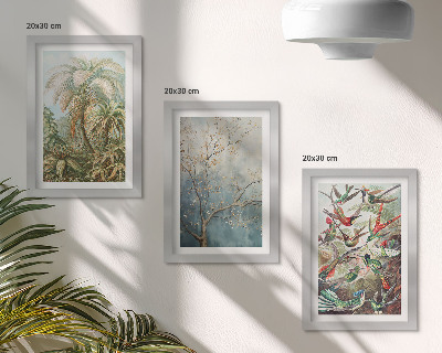 Composizione di 3 quadri Piante tropicali e uccelli colorati in natura