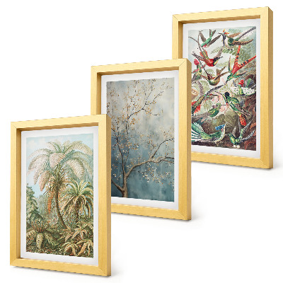 Composizione di 3 quadri Piante tropicali e uccelli colorati in natura