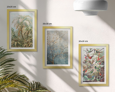 Composizione di 3 quadri Piante tropicali e uccelli colorati in natura