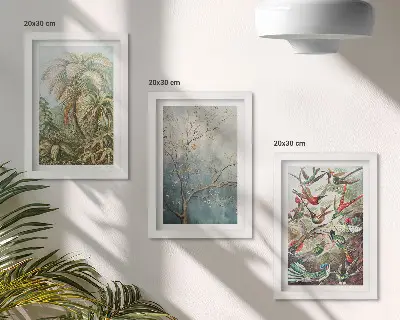 Composizione di 3 quadri con piante tropicali e uccelli colorati in natura