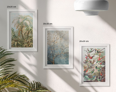 Composizione di 3 quadri Piante tropicali e uccelli colorati in natura