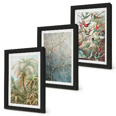 Composizione di 3 quadri con piante tropicali e uccelli colorati in natura