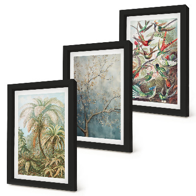 Composizione di 3 quadri Piante tropicali e uccelli colorati in natura