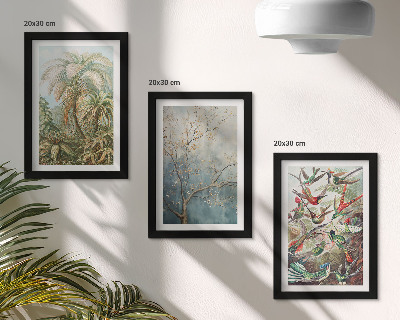 Composizione di 3 quadri Piante tropicali e uccelli colorati in natura